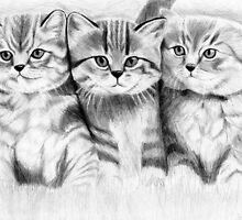Pussy Cats by Mui-Ling Teh