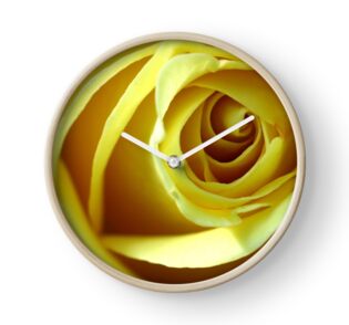 Macro Photo Yellow Rose