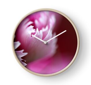 Macro Photo Pink Flower