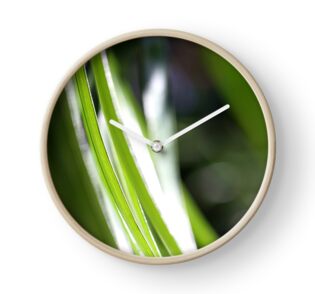 Macro Photo Green Grass