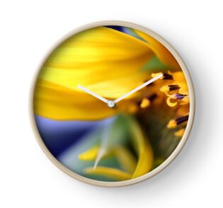 Macro Photo Yellow Sunflower