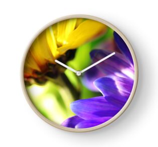 Colorful Flower Photo