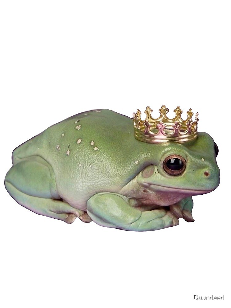 Frog With Crown Cute Sitting Realistic Frog With Crow Prince Frog