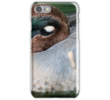 Sleeping Duck