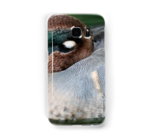 Sleeping Duck
