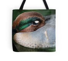 Sleeping Duck