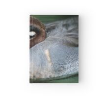Sleeping Duck