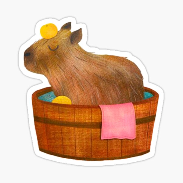 Bathing Capybara With Mandarin Orange On Head Sticker For Sale By