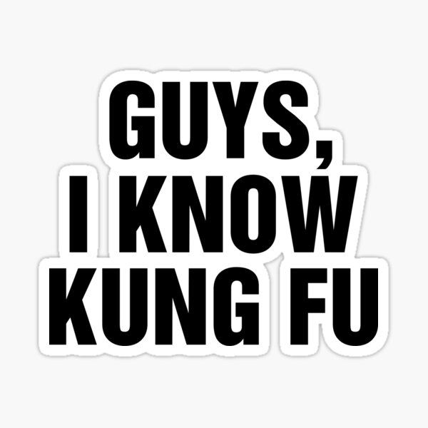 Guys I Know Kung Fu Chuck Bartowski Sticker For Sale By Allysmar