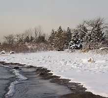 The Snow Just Stopped - a Winter Beach on Lake Ontario by Georgia Mizuleva