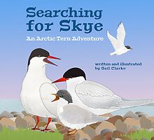Searching for Skye: An Arctic Tern Adventure by David Clarke