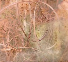 Touch Me So Gently by Susan Werby