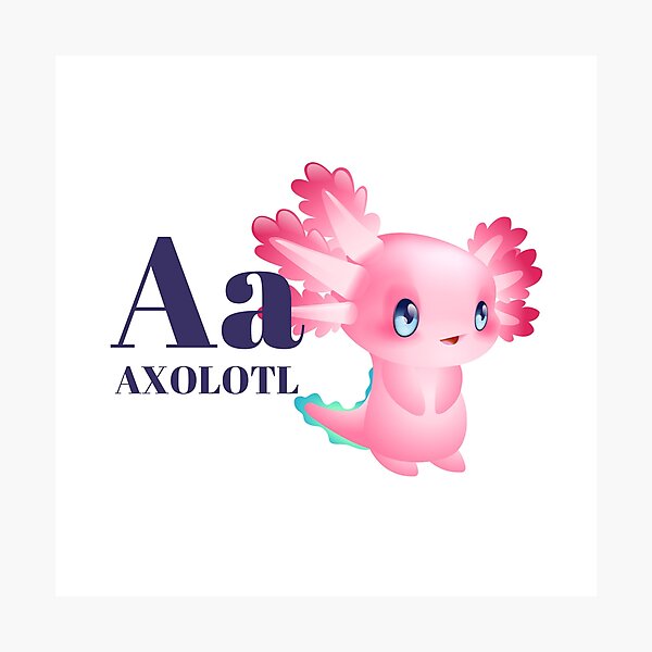 Lámina fotográfica A para Axolotl Rosa Tímido Axolotl Sonriente Linda