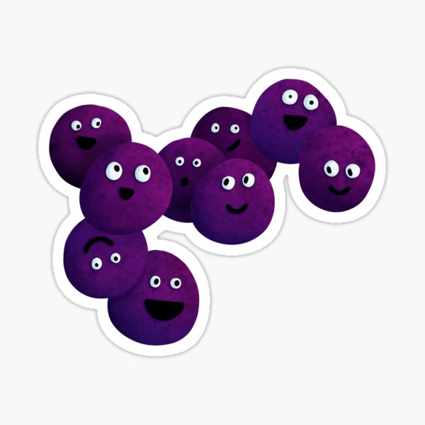 Streptococcus Pneumoniae Sticker By EmyBeeDesigns Redbubble