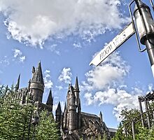 Your a Wizard 'arry by rebekahesme