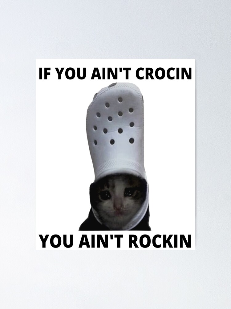 Crying Cat Croc Meme Funny If You Ain T Crocin You Ain T Rockin