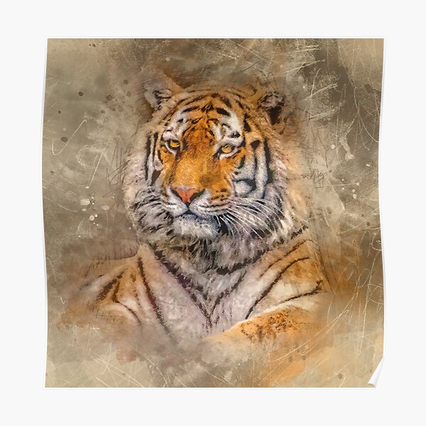 Siberian Tiger Poster By Tarrby Redbubble