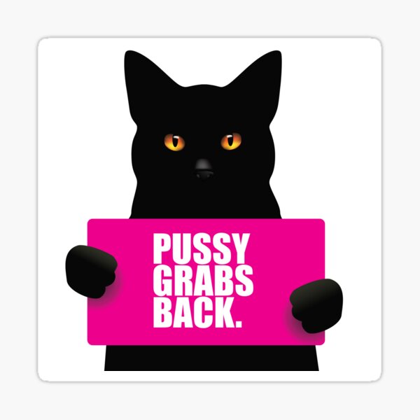 Black Cat Holding Sign That Says Pussy Grabs Back Symbol Of Female