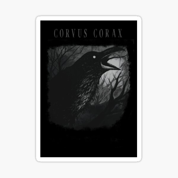 Corvus Corax Sticker For Sale By TheLoloBeast Redbubble