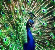 Peacock ~ Impressions by Susie Peek
