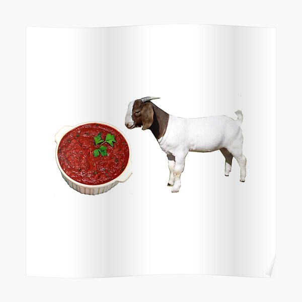 Goated With The Sauce Poster For Sale By Doopsmaster Redbubble