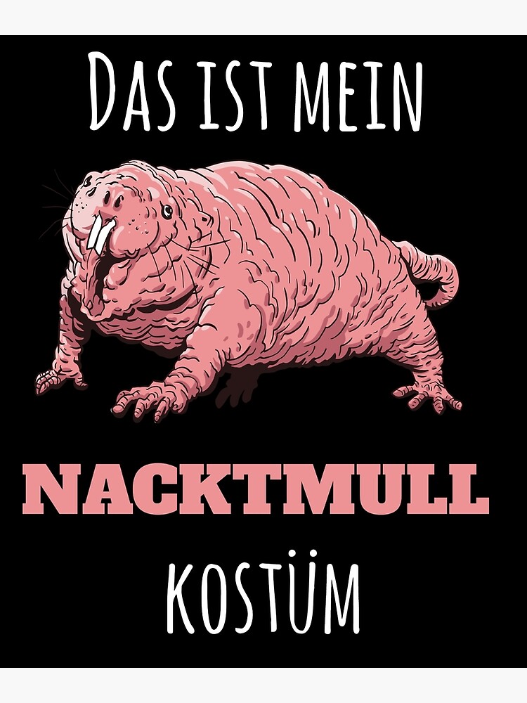 Naked Mole Rat Carnival Funny Poster For Sale By Lula Redbubble