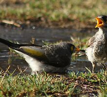 READ MY LIPS by myraj