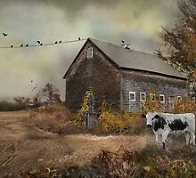 The Misfit by Robin-Lee
