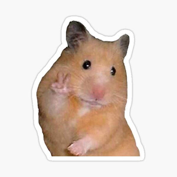 Peace Sign Hamster Meme Sticker For Sale By Aidallnnon Redbubble