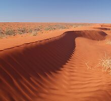 Madigan Line Sand Hill Simpson Desert by Joe Mortelliti