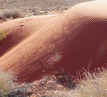 Sand Hill Patterns,Simpson Desert,N.T. by Joe Mortelliti