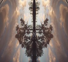 Glory Suite - River 5 by Norma Chalmers