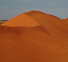 Sandhill North Simpson Desert,N.T. by Joe Mortelliti