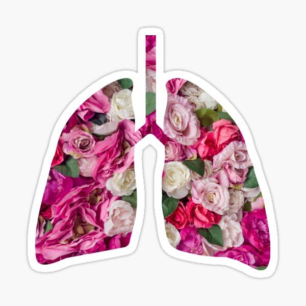 Lungs Flower Patern Sticker For Sale By Sciencefacts Redbubble