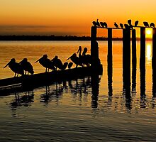 Port Phillip Bay by Darren Stones