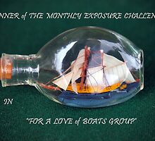 BANNER CHALLENGE by Wayne Nixon (W E NIXON PHOTOGRAPHY)