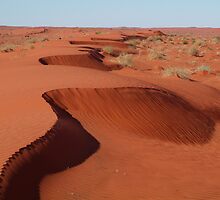 Simpson Desert,N.T. by Joe Mortelliti