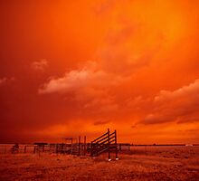 bushfire sky - Gippsland 2006 by Tony Middleton