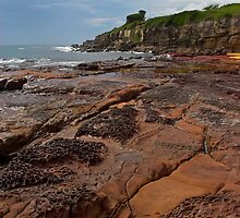 Short Point - Merimbula by Darren Stones