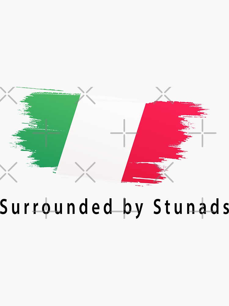 Surrounded By Stunads Funny Italian Sayings Quote Flag Italy Funny