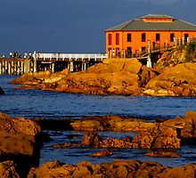 Tathra Wharf by Darren Stones