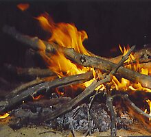 camp fire by Rosy