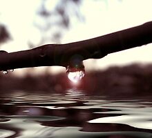 Let the healing waters flow.. by webgrrl