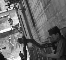 Harpist - Barcelona by Michelle Doyle