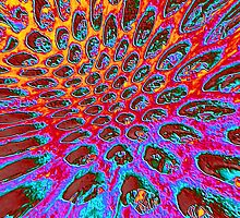 #70 Dream Filter by MyInnereyeMike