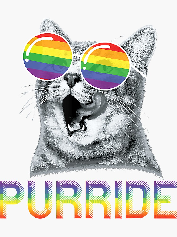 Funny Cat Gay Pride Rainbow Sunglasses Lgbtq Sticker By Ecuddlebear