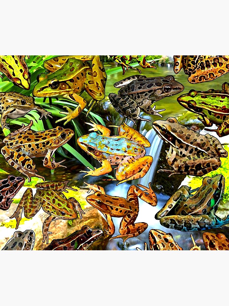 Leopard Frogs Pond Poster For Sale By Iconic Sonic Redbubble