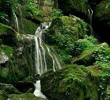Place of a Thousand Drips by Gary L Suddath