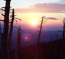 purple mountains by Christopher Ewing