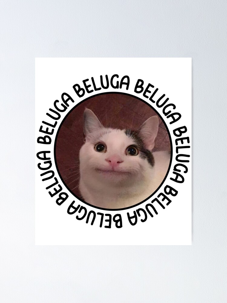 P Ster Meme De La Discordia Del Gato Beluga De Liamandlore Redbubble